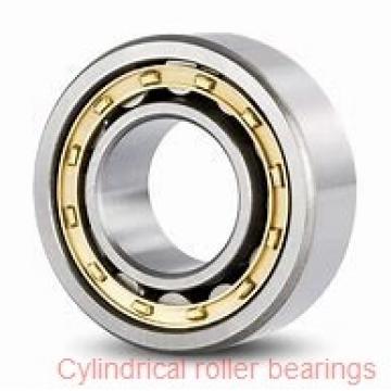85 mm x 130 mm x 22 mm  85 mm x 130 mm x 22 mm  NKE NU1017-E-M6 cylindrical roller bearings